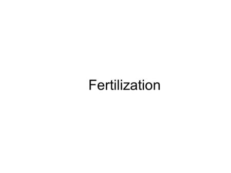 Fertilization.