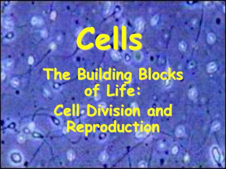 Cells The Building Blocks of Life: Cell Division and Reproduction.