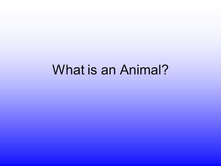 What is an Animal?. Characteristics of Animals Animals are eukaryotic, multicellular organisms Cells do not have cell walls Can move in some way All animals.