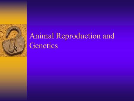 Animal Reproduction and Genetics. Estrus Cycle  Time during which the female will accept the male for breeding  Length of estrus cycle in both cattle.