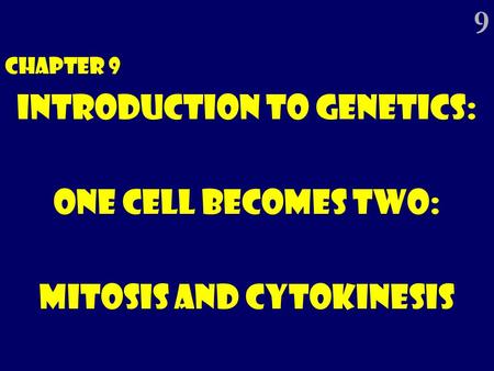 Introduction to Genetics: One Cell Becomes Two: