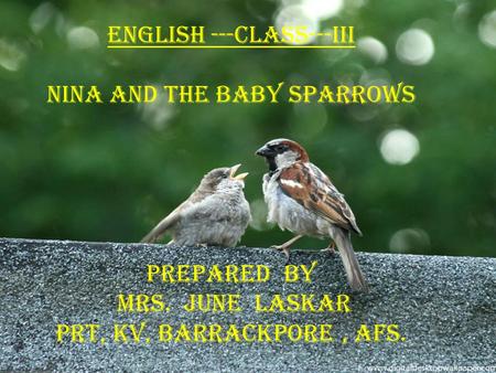english ---class---iii Nina and the baby sparrows
