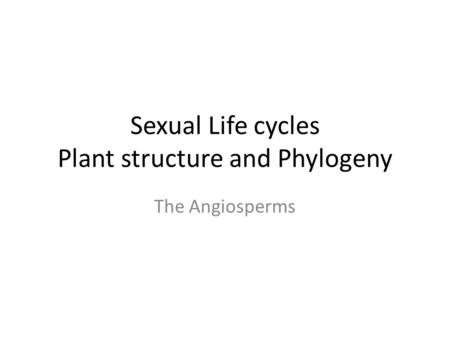 Sexual Life cycles Plant structure and Phylogeny The Angiosperms.