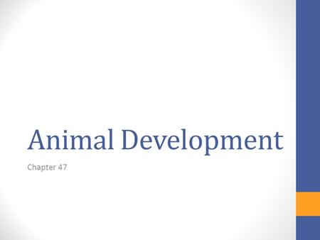 Animal Development Chapter 47. WHAT’S NEXT? Once copulation ends…
