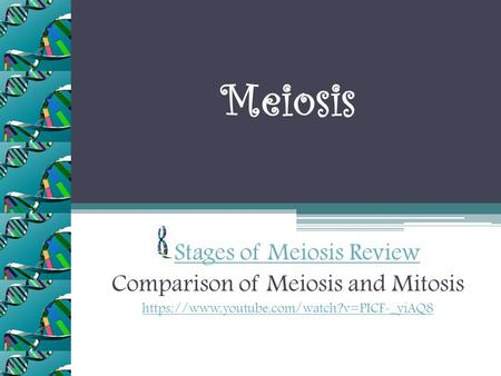 Meiosis Stages of Meiosis Review Comparison of Meiosis and Mitosis