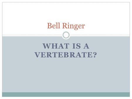 WHAT IS A VERTEBRATE? Bell Ringer. Animal Body Systems.