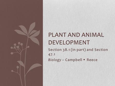 Section 38.1 (in part) and Section 47.1 Biology – Campbell Reece PLANT AND ANIMAL DEVELOPMENT.