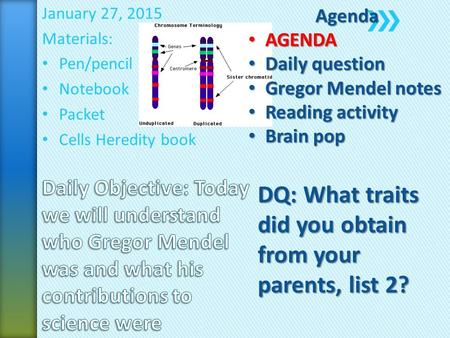 January 27, 2015 Materials: Pen/pencil Notebook Packet Cells Heredity bookAgenda AGENDA AGENDA Daily question Daily question Gregor Mendel notes Gregor.