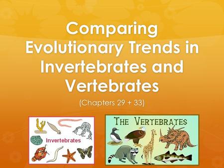 Comparing Evolutionary Trends in Invertebrates and Vertebrates