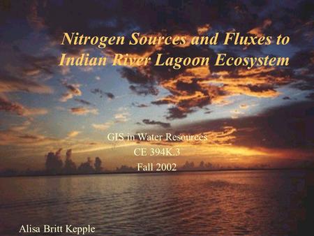Nitrogen Sources and Fluxes to Indian River Lagoon Ecosystem Alisa Britt Kepple GIS in Water Resources CE 394K.3 Fall 2002.