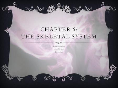 CHAPTER 6: THE SKELETAL SYSTEM By: Ashley Ambroise Ashley Hernandez Laura Alzate.