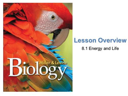 Lesson Overview 8.1 Energy and Life.