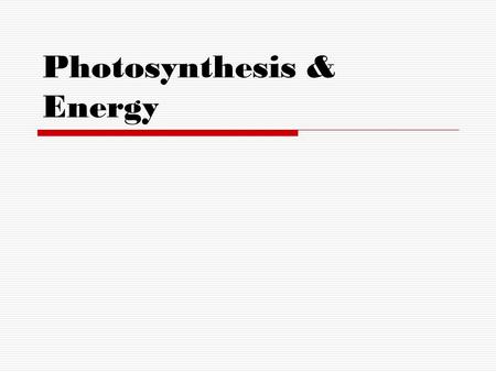 Photosynthesis & Energy. PLANTS also known as Producers – Autotrophs make their own food through PHOTOSYNTHESIS.