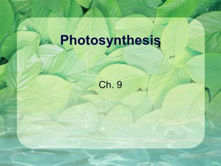 Photosynthesis Ch. 9.