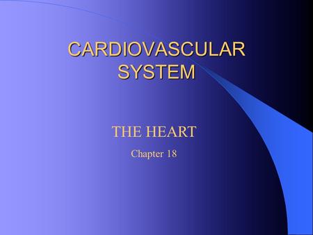 CARDIOVASCULAR SYSTEM THE HEART Chapter 18. Physical Characteristics Located in the mediastinum between the lungs and behind the sternum About the size.