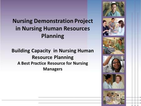 Nursing Demonstration Project in Nursing Human Resources Planning Building Capacity in Nursing Human Resource Planning A Best Practice Resource for Nursing.