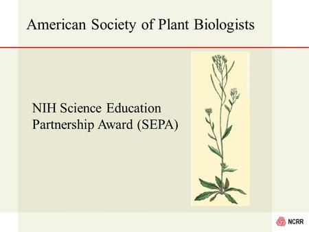 NCRR American Society of Plant Biologists NIH Science Education Partnership Award (SEPA)