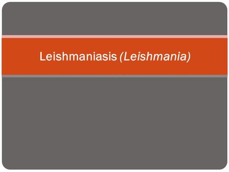 Leishmaniasis (Leishmania). caused by intracellular protozoan parasites of the genus Leishmania transmitted by phlebotomine sandflies disease involving.