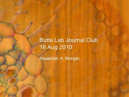 Butte Lab Journal Club 16 Aug 2010 Alexander A. Morgan.