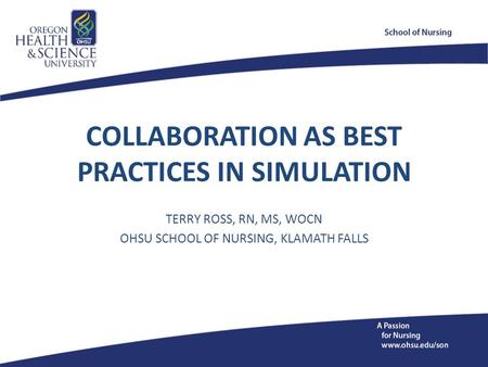COLLABORATION AS BEST PRACTICES IN SIMULATION