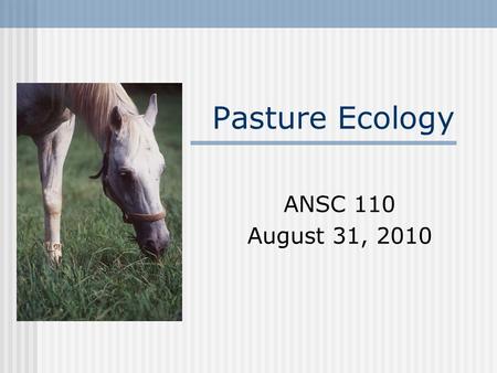 Pasture Ecology ANSC 110 August 31, 2010. Pasture Ecology Ecology- Interrelationships of grasses, legumes, weeds, and grazing animals with their environment.