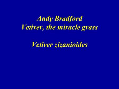 Andy Bradford Vetiver, the miracle grass Vetiver zizanioides.