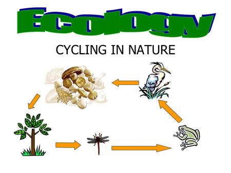 CYCLING IN NATURE. Wed Sept 4/Thurs Sept 5 If you have supplies to turn in, please place them under the window. AGENDA Collect signature pages Set up.
