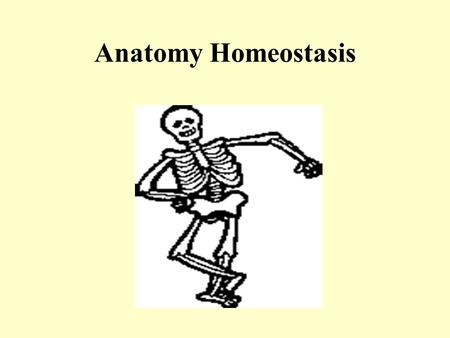 Anatomy Homeostasis.