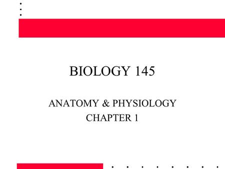 BIOLOGY 145 ANATOMY & PHYSIOLOGY CHAPTER 1. Introduction to the Human Body Anatomy is the study of structure and the relationships among the structures.