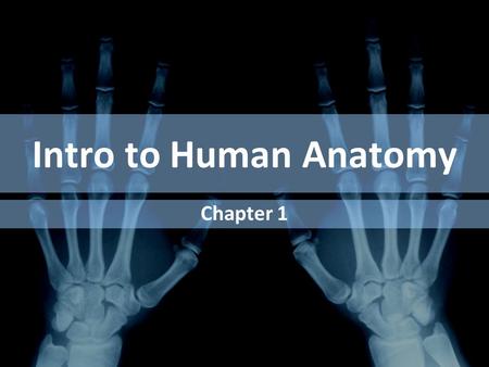 Intro to Human Anatomy Chapter 1.