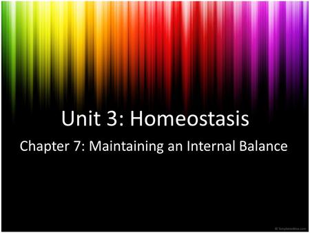 Chapter 7: Maintaining an Internal Balance