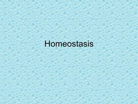 Homeostasis. Homeostasis is a term that is used to refer to the maintenance of a stable equilibrium inside an organism. This equilibrium however is not.