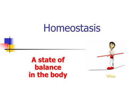 Homeostasis A state of balance in the body Whoa. Maintenance of a stable internal environment = a dynamic state of equilibrium Homeostasis must be maintained.