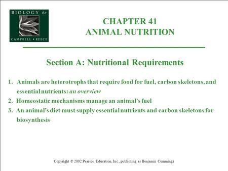 CHAPTER 41 ANIMAL NUTRITION Copyright © 2002 Pearson Education, Inc., publishing as Benjamin Cummings Section A: Nutritional Requirements 1.Animals are.
