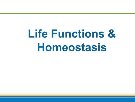 Life Functions & Homeostasis. Necessary Life Functions 1.Maintain boundaries 2.Movement  Locomotion  Movement of substances 3.Responsiveness  Ability.