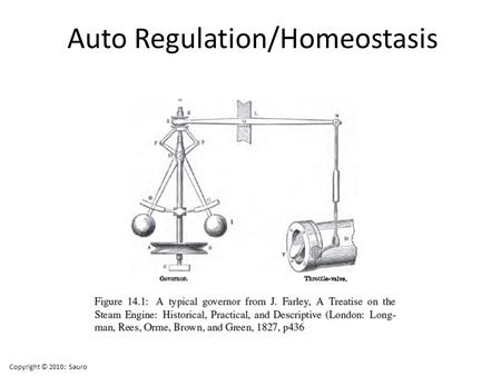 Auto Regulation/Homeostasis Copyright © 2010: Sauro.