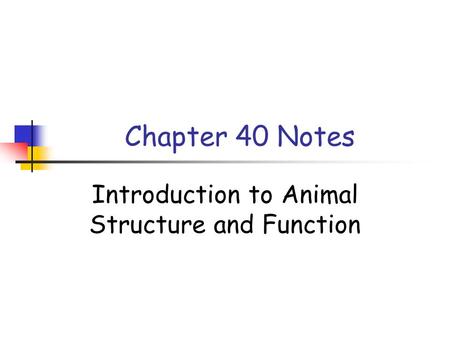Introduction to Animal Structure and Function