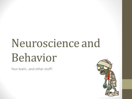 Neuroscience and Behavior Your brain…and other stuff!