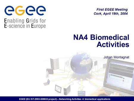 EGEE (EU IST-2003-508833 project) – Networking Activities 4: biomedical applications NA4 Biomedical Activities Johan Montagnat First EGEE Meeting Cork,