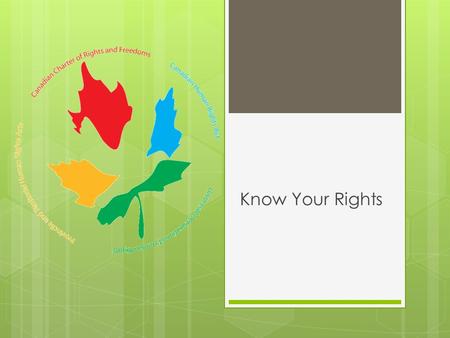 Know Your Rights. The Canadian Bill of Rights 1960 The Ontario Human Rights Code 1962 The Canadian Human Rights Act 1977 The Canadian Charter of Rights.