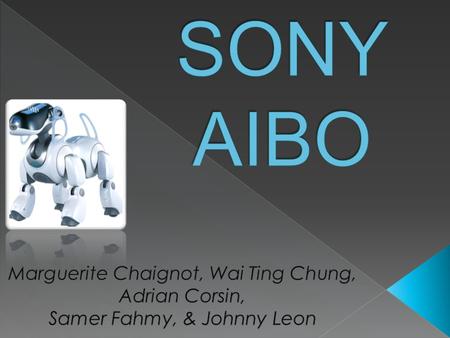  American market less responsive in purchasing AIBO when compared to Japanese market  Problems: › The product remains unprofitable for Sony.