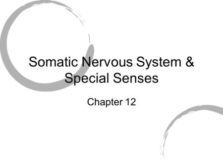 Somatic Nervous System & Special Senses