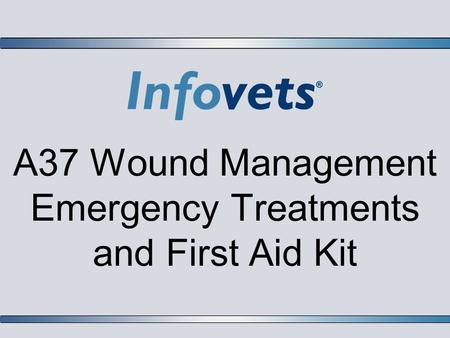 A37 Wound Management Emergency Treatments and First Aid Kit