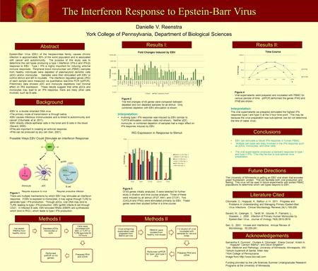 Danielle V. Reenstra York College of Pennsylvania, Department of Biological Sciences The Interferon Response to Epstein-Barr Virus Virus containing supernatant.