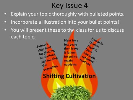 Key Issue 4 Shifting Cultivation