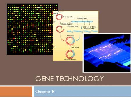 GENE TECHNOLOGY Chapter 8.