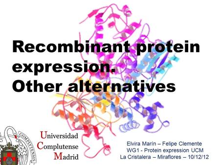 Recombinant protein expression. Other alternatives