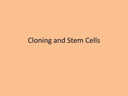 Cloning and Stem Cells. Stem Cells Cells that have not yet differentiated into their final developmental stage and/or function.