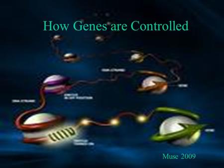 How Genes are Controlled Muse 2009. CONTROL OF GENE EXPRESSION.