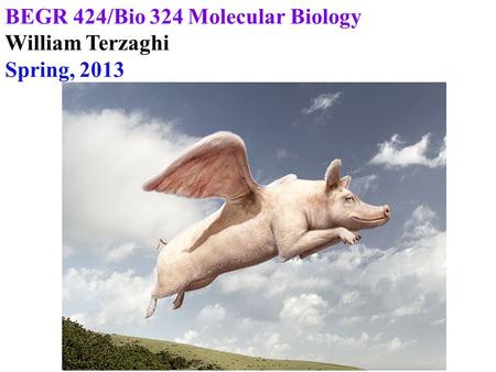 BEGR 424/Bio 324 Molecular Biology